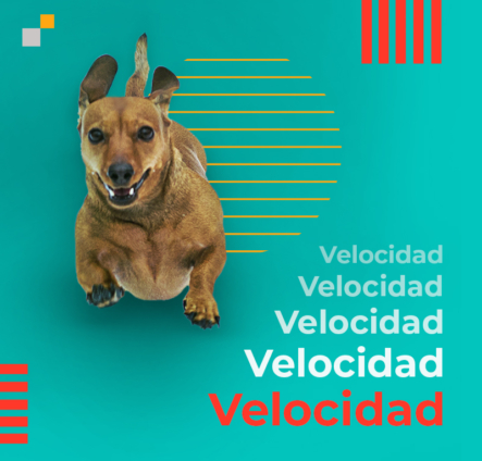 Velocidad de corte