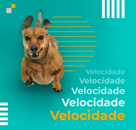 Velocidade