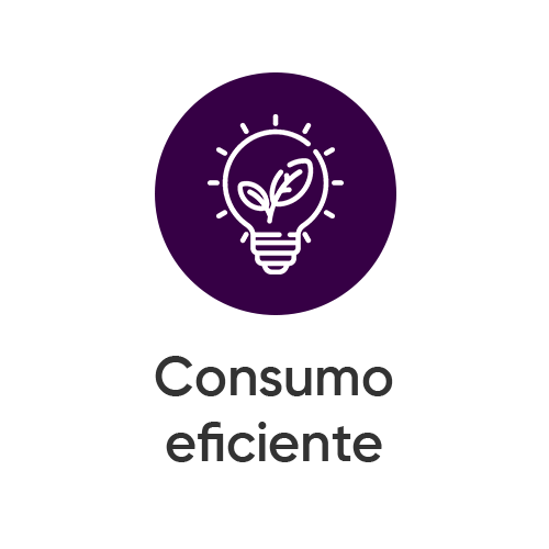 Consumo eficiente