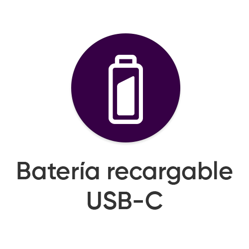 Batería recargable USB-C