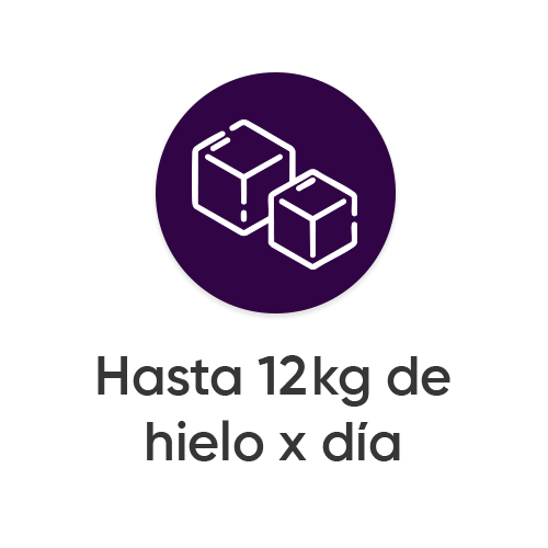 Hasta 12 kg de hielo x día